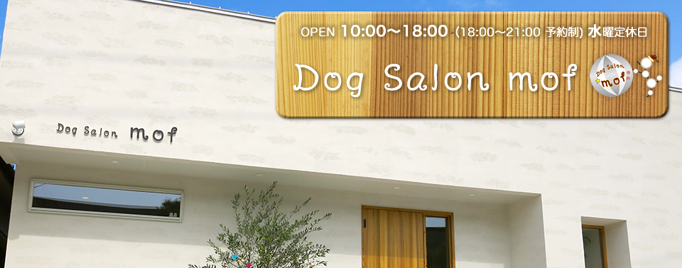 Dog Salon mofドッグサロンモフ