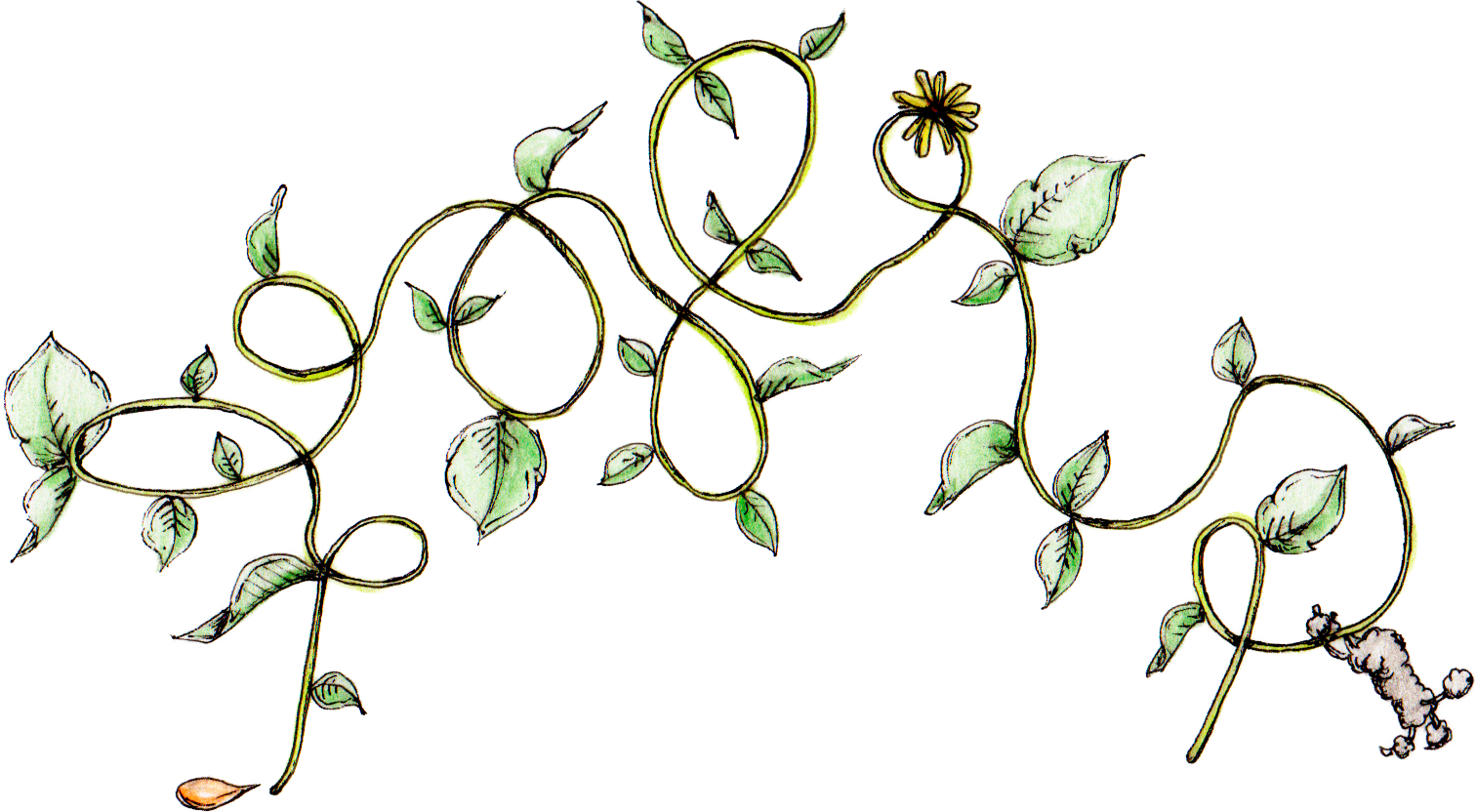 カップケーキも作っちゃお