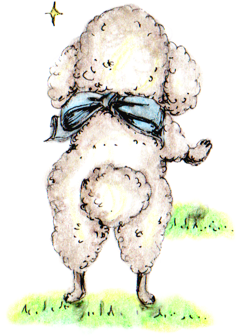 トイプーブルー