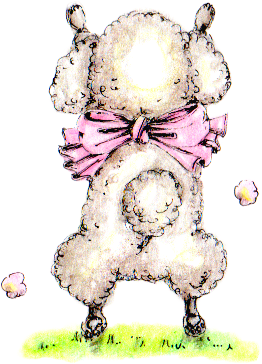 トイプーピンク