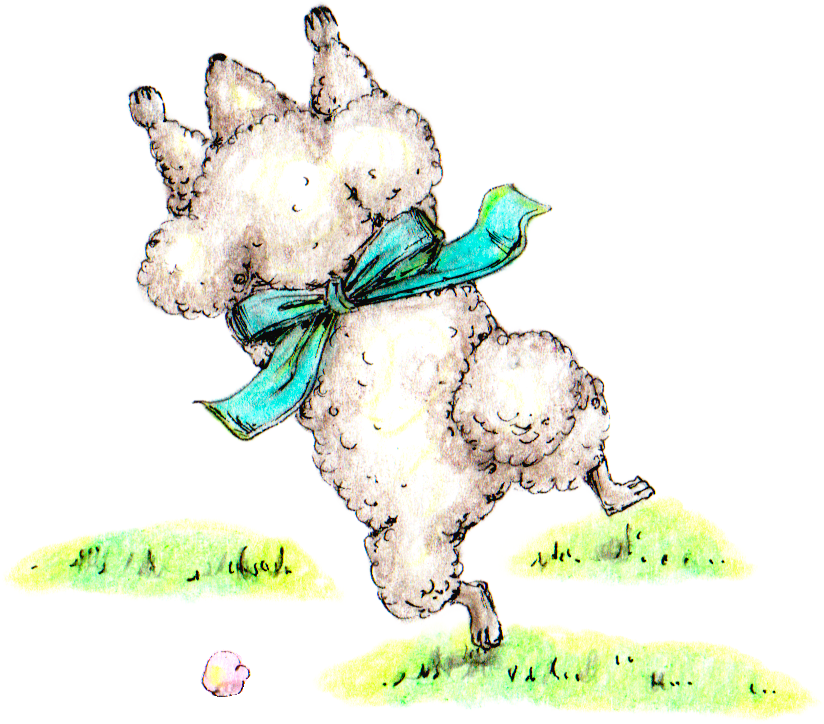 トイプーグリーン