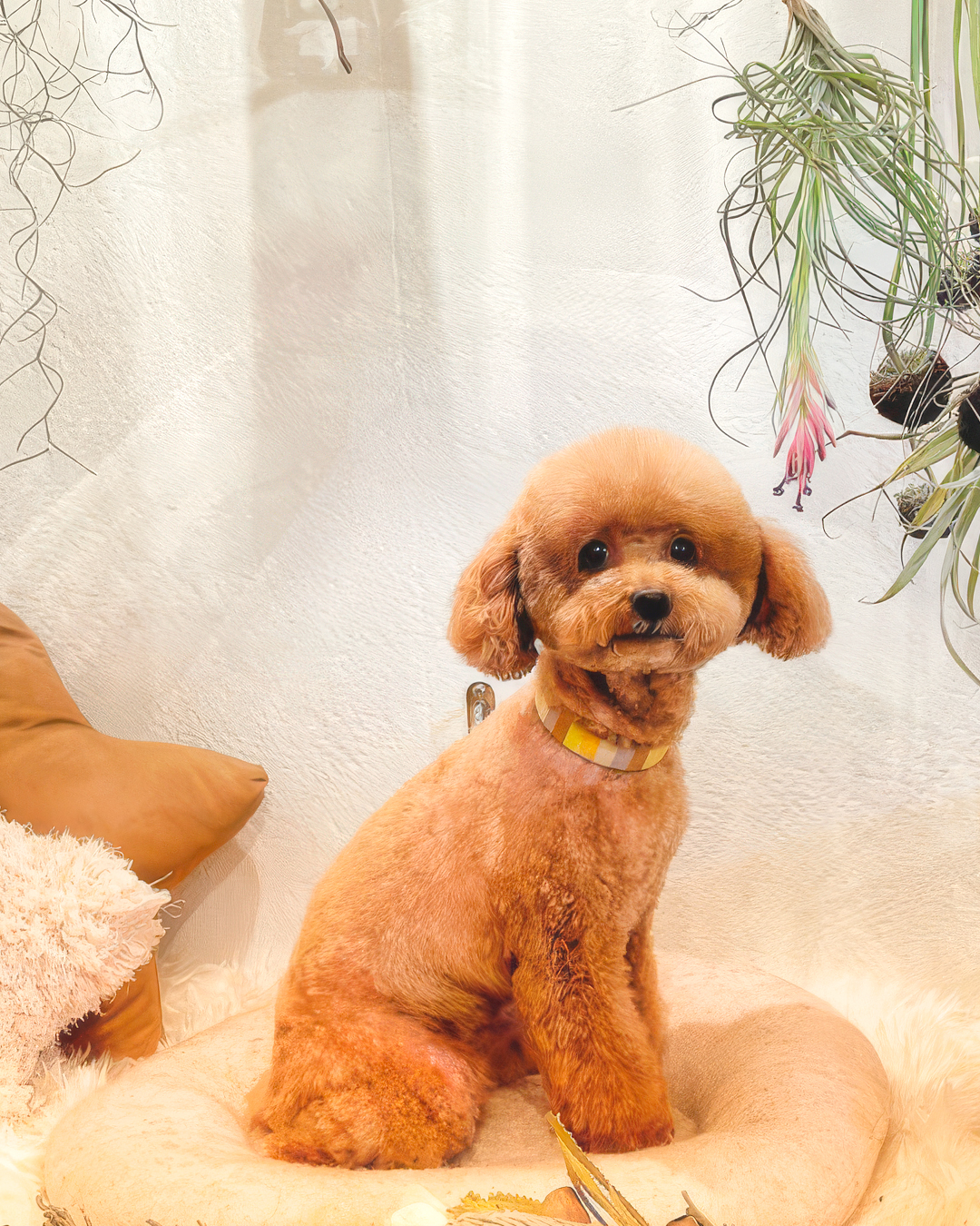 2026年3月10日 あんちゃん