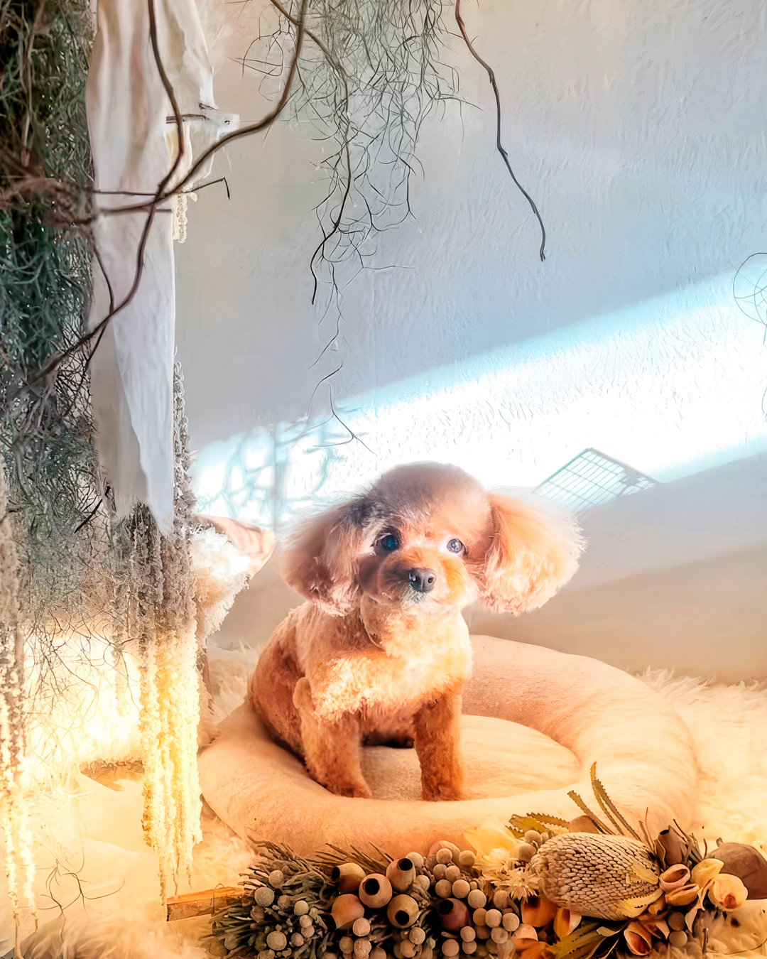 2026年3月15日 ハピちゃん