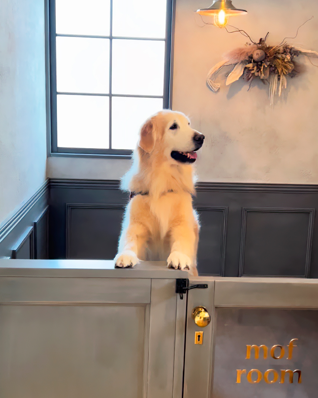 2026年3月30日 エルモくん