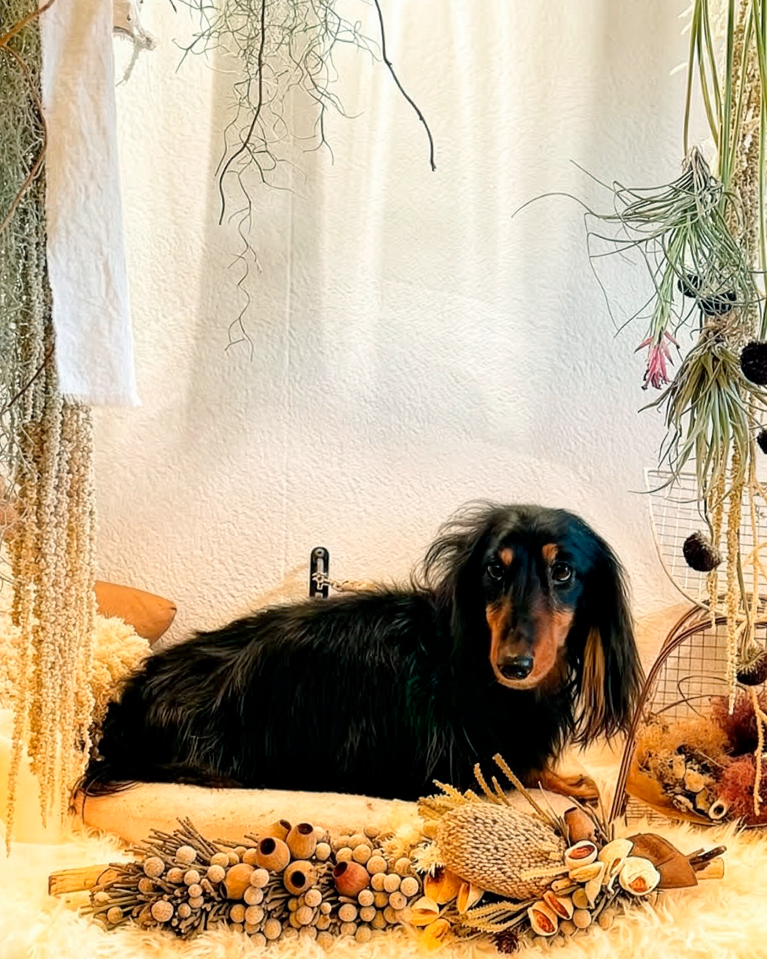 2026年3月10日 まー君