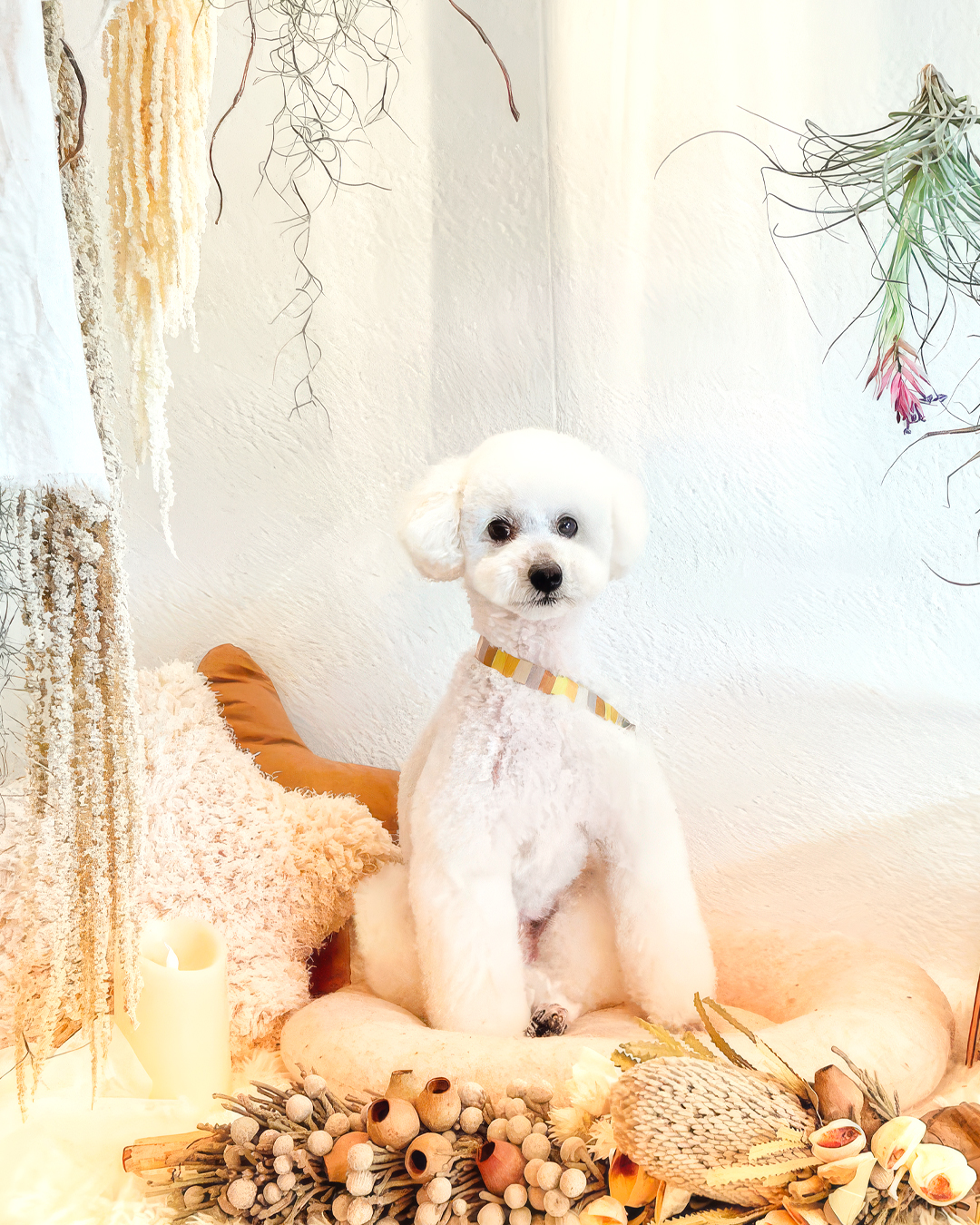 2026年4月10日 リキ君