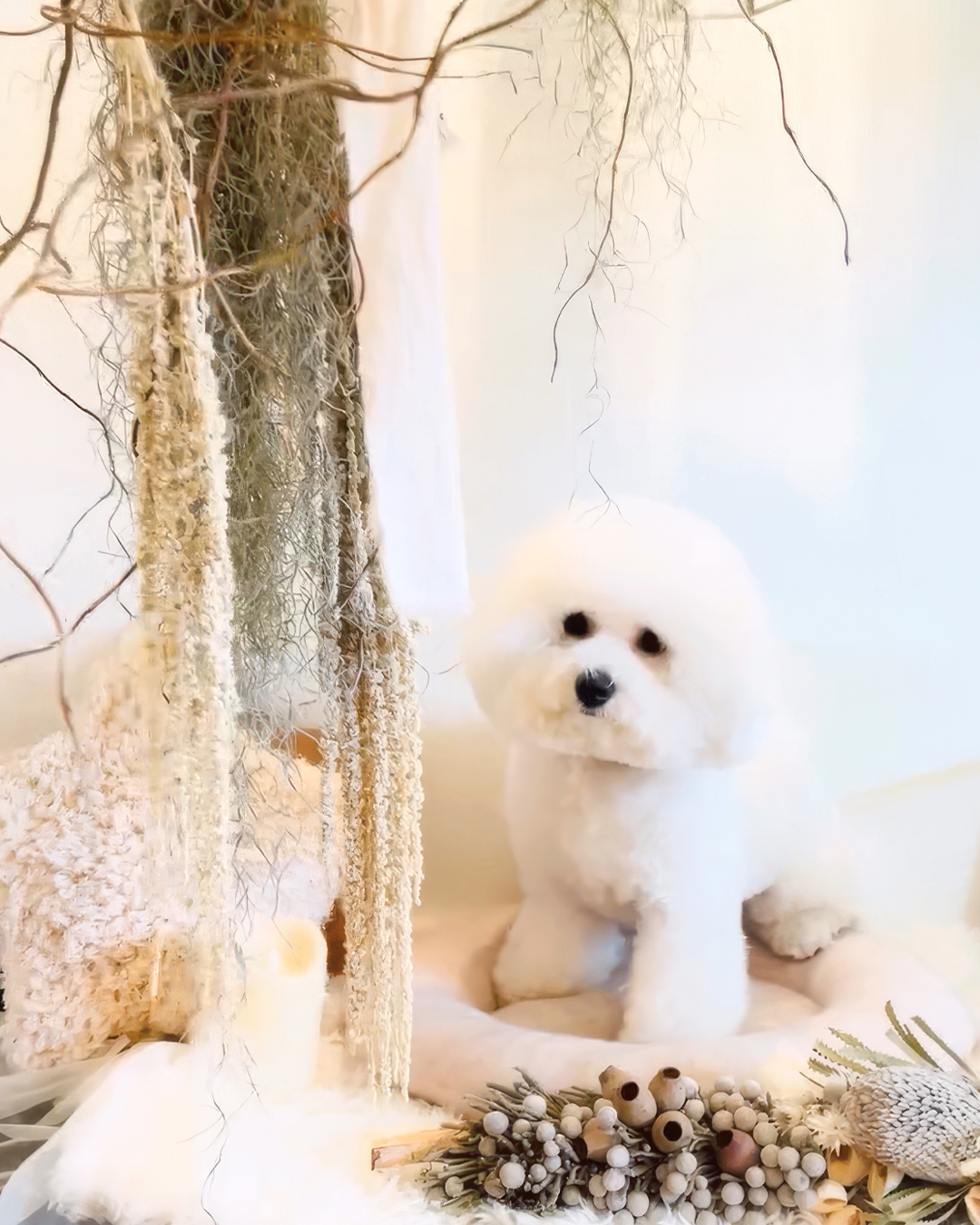 2026年4月11日 サン君